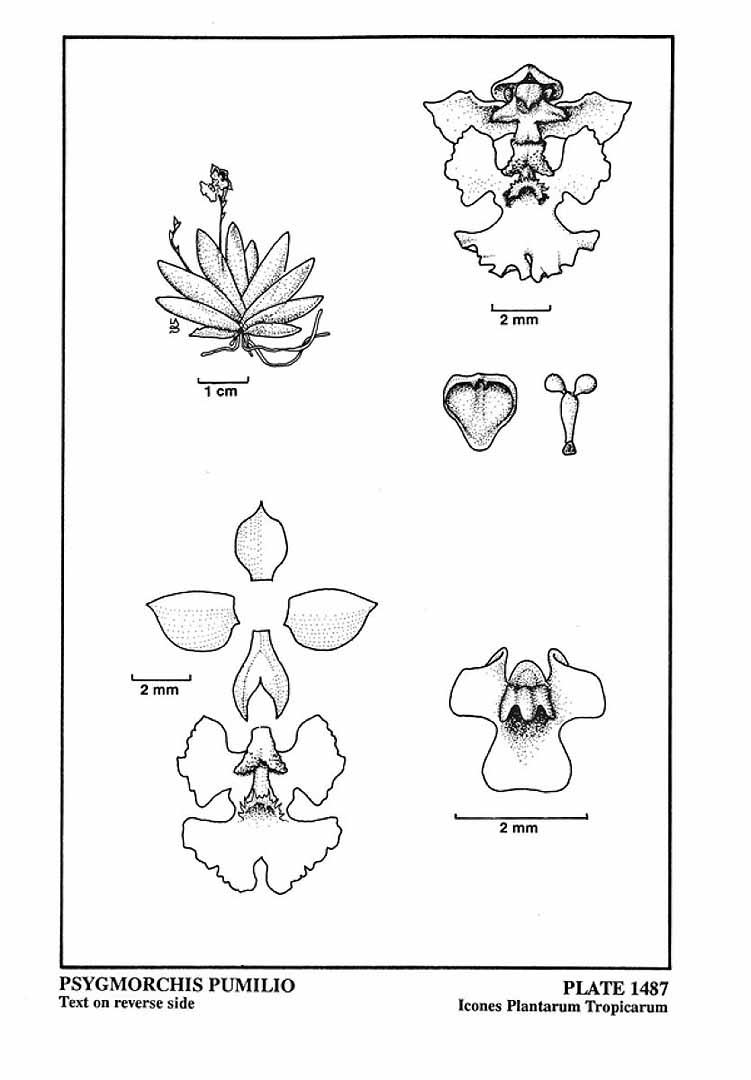 no HD illustration available (m3)