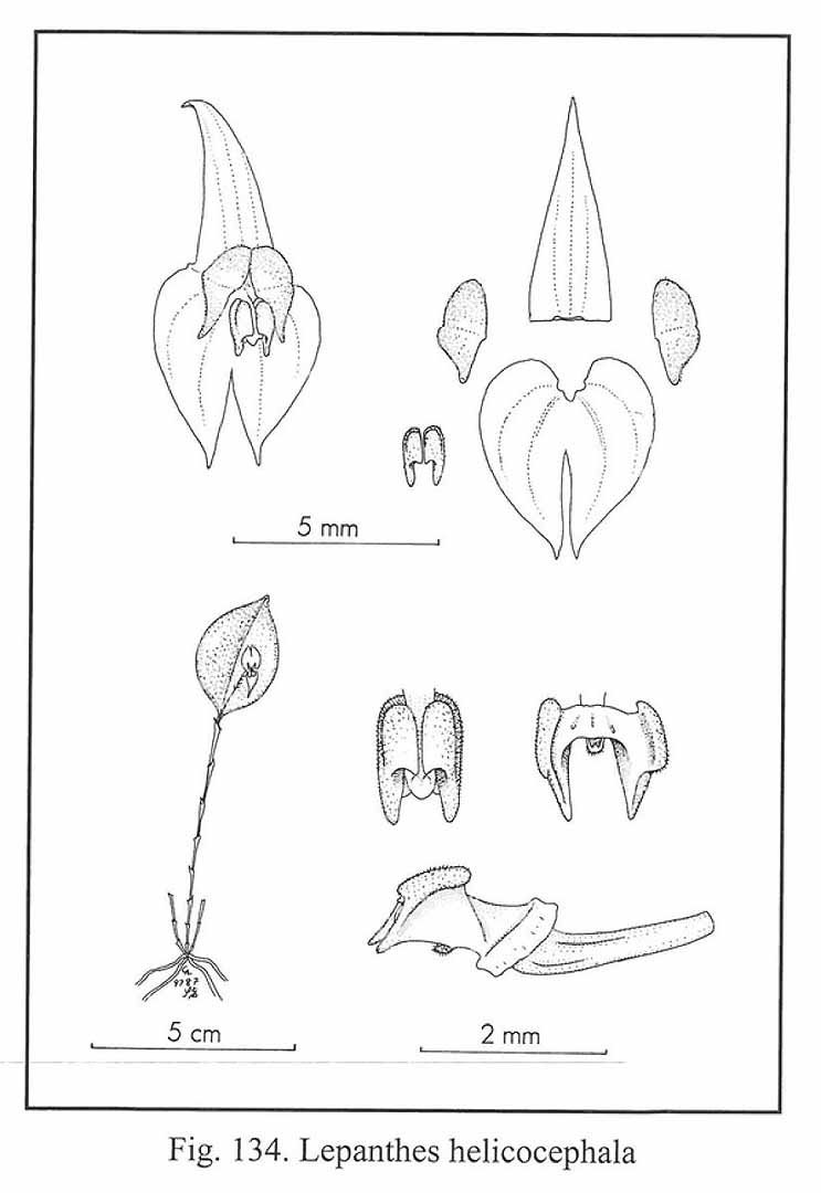no HD illustration available (m3)