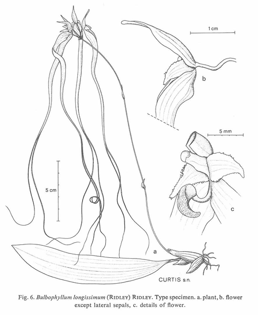 no HD illustration available (m3)