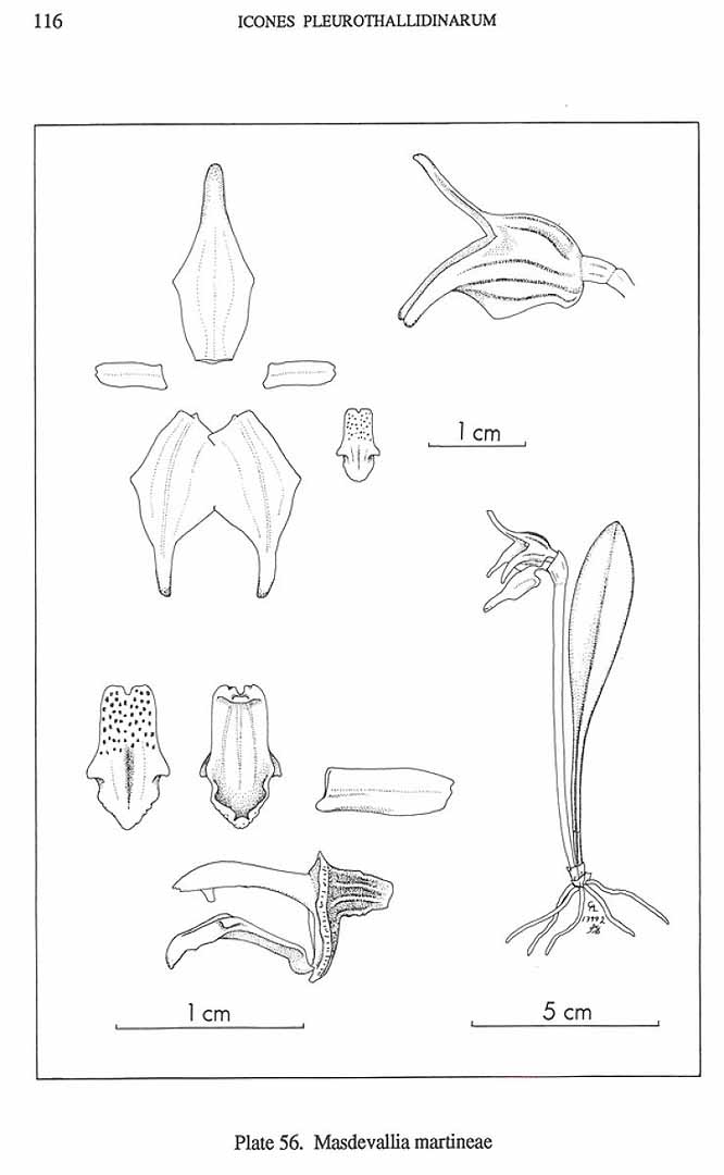 no HD illustration available (m3)