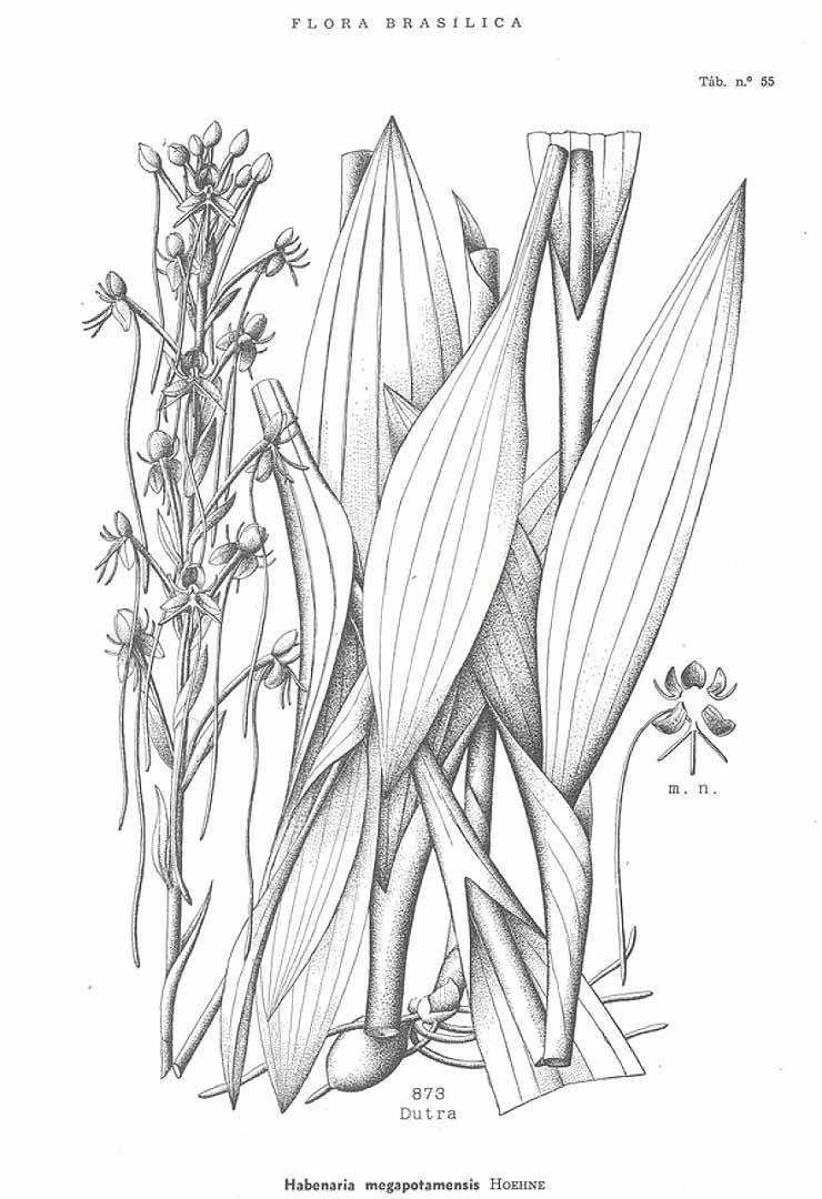 no HD illustration available (m3)