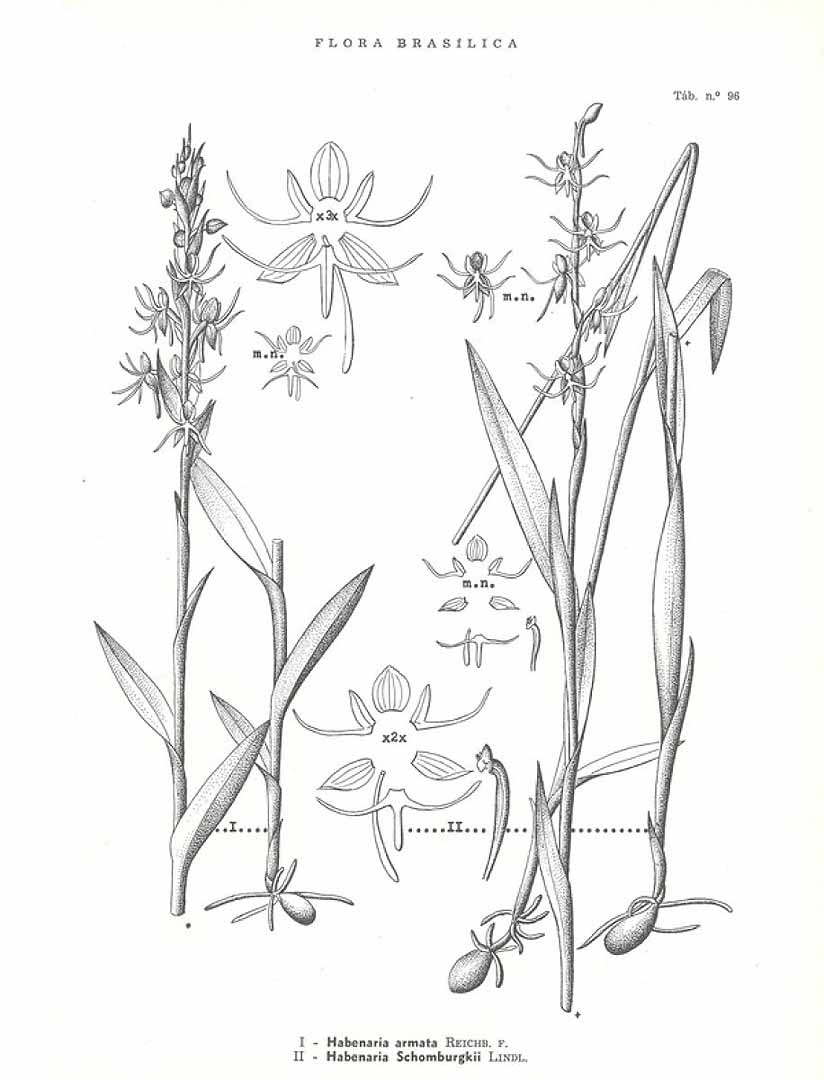 no HD illustration available (m3)