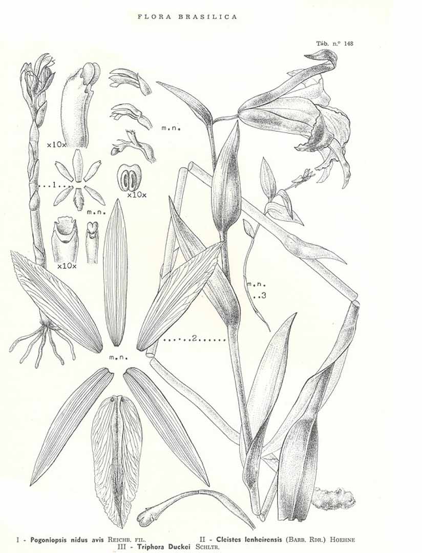 no HD illustration available (m3)