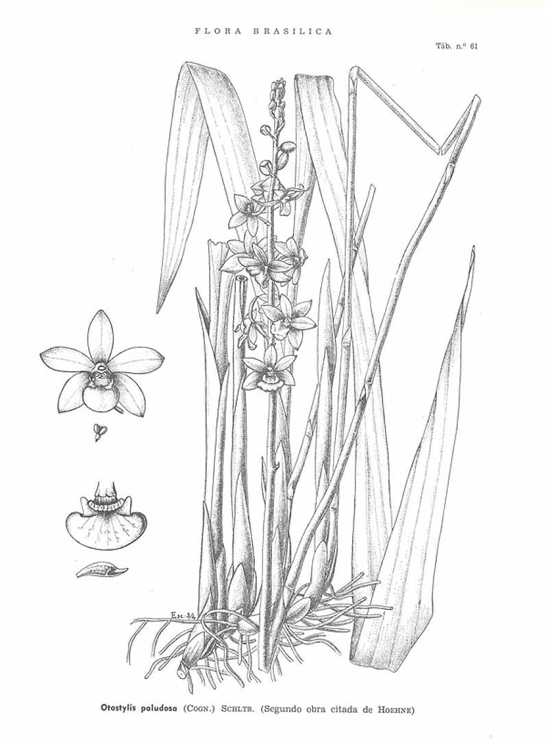 no HD illustration available (m3)