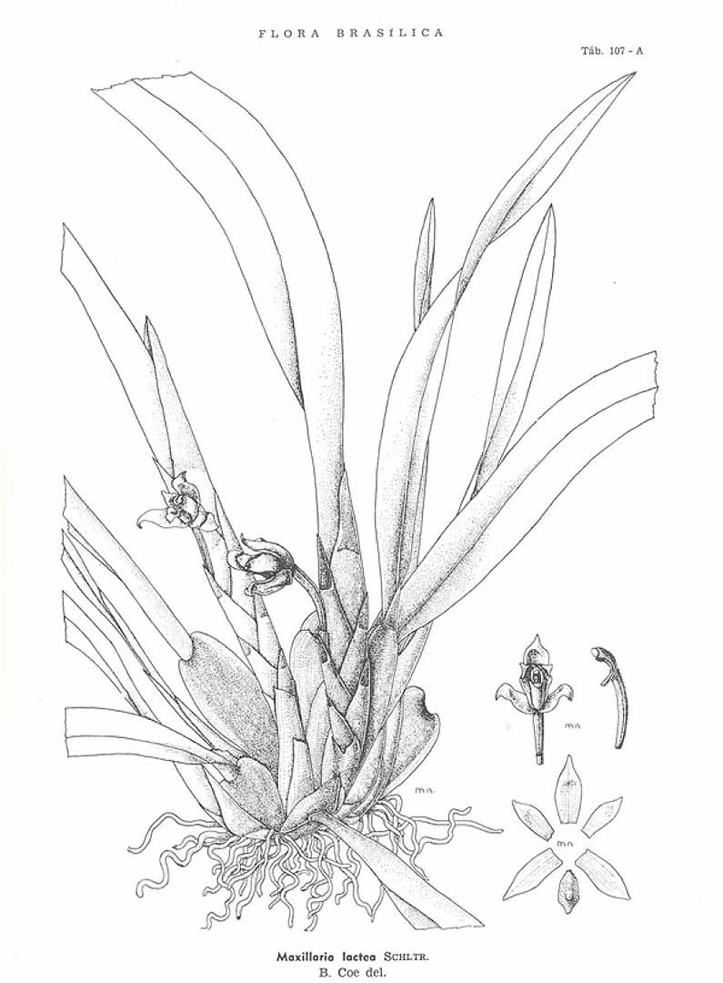 no HD illustration available (m3)