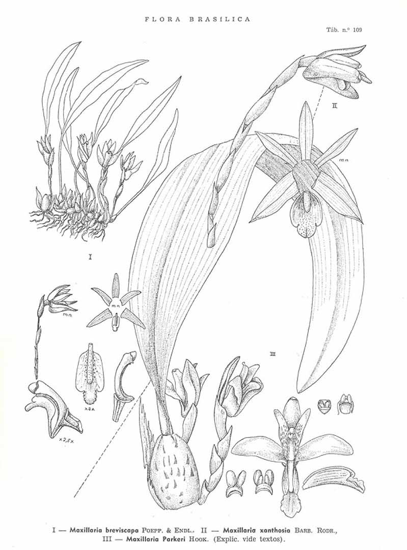 no HD illustration available (m3)