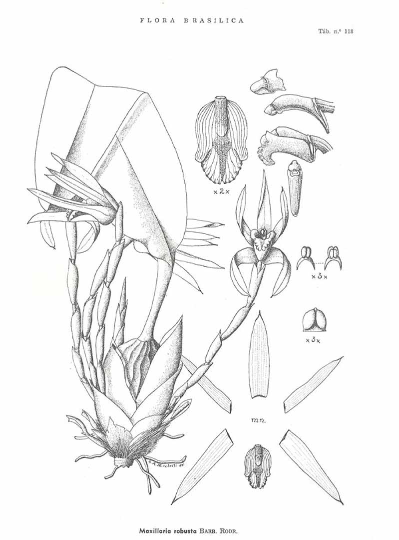 no HD illustration available (m3)