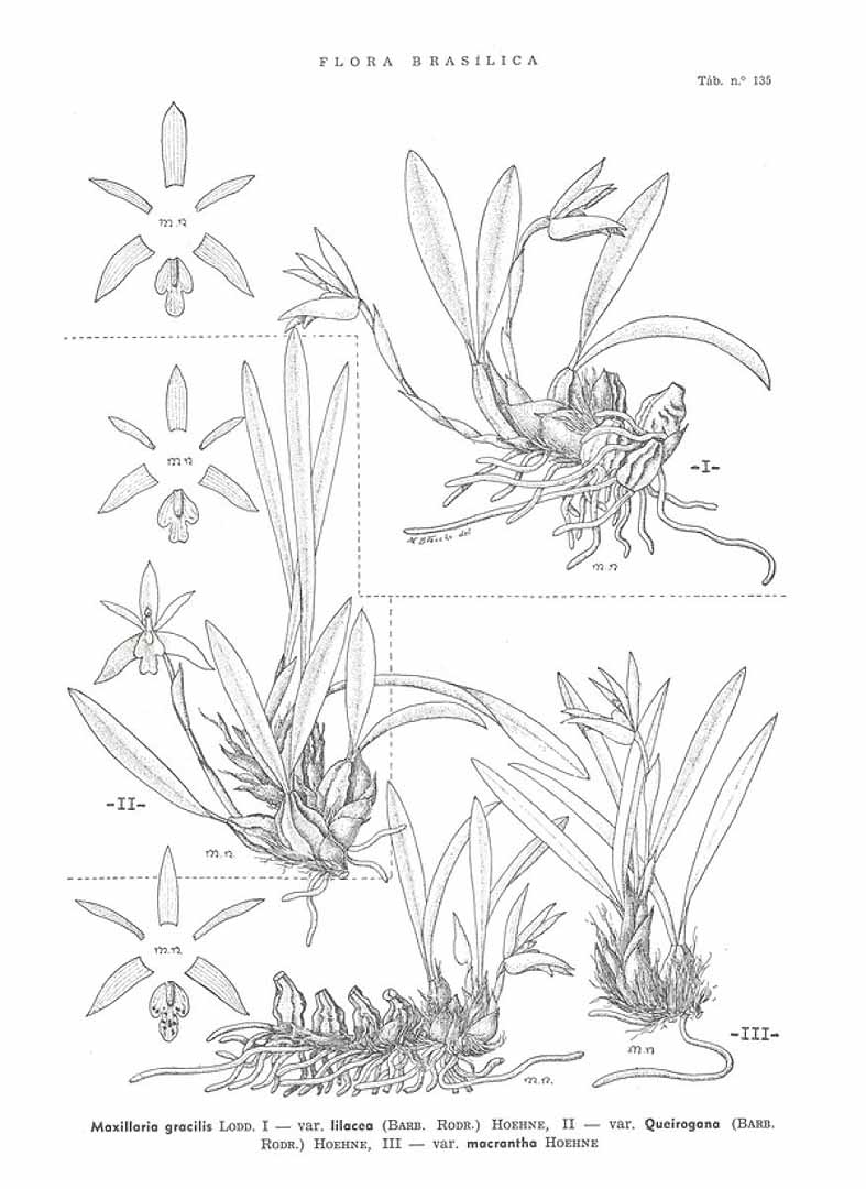 no HD illustration available (m3)