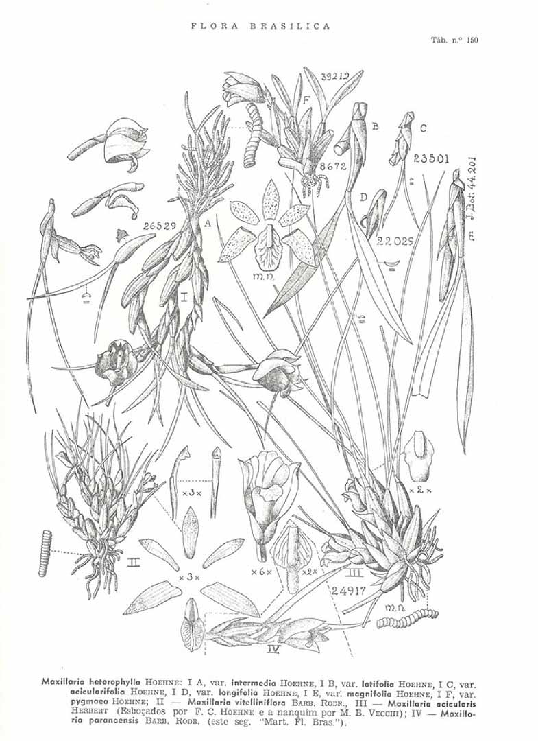 no HD illustration available (m3)