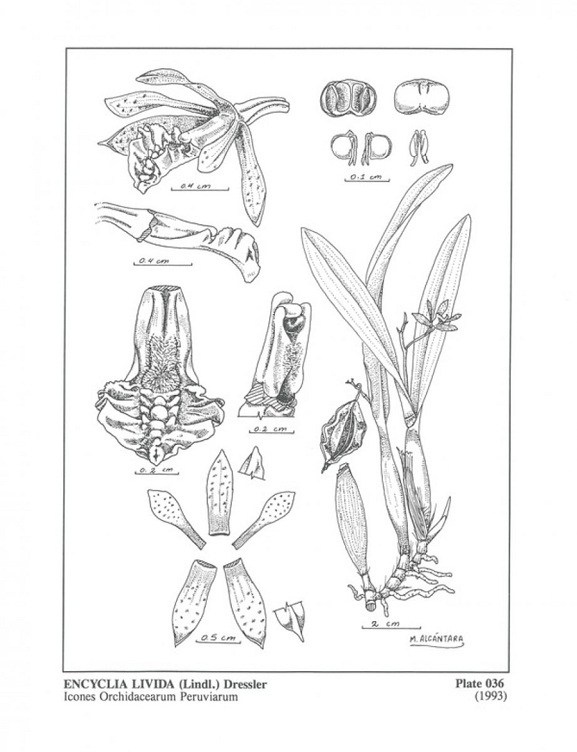 no HD illustration available (m3)