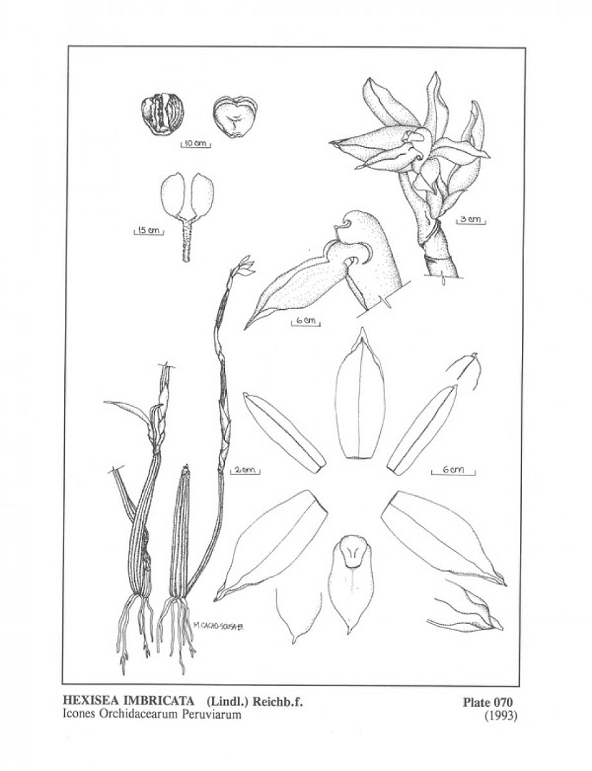 no HD illustration available (m3)