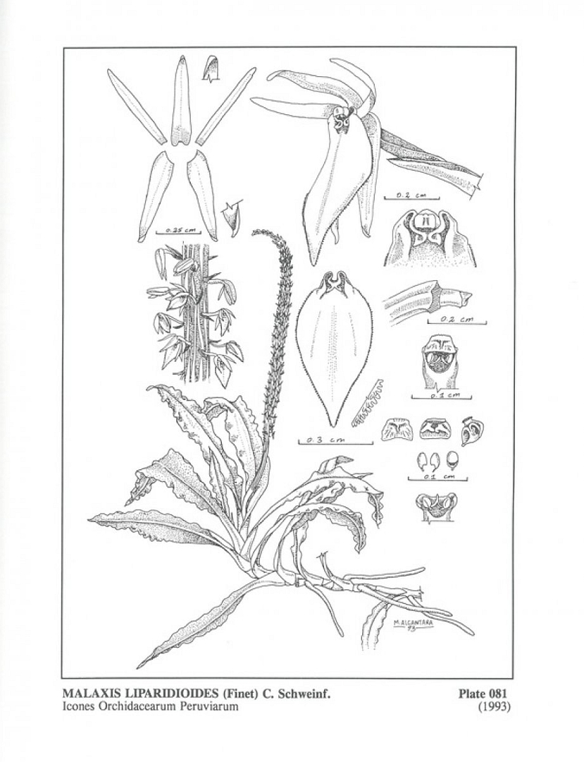 no HD illustration available (m3)