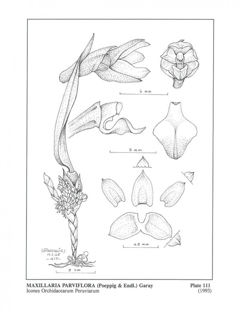 no HD illustration available (m3)