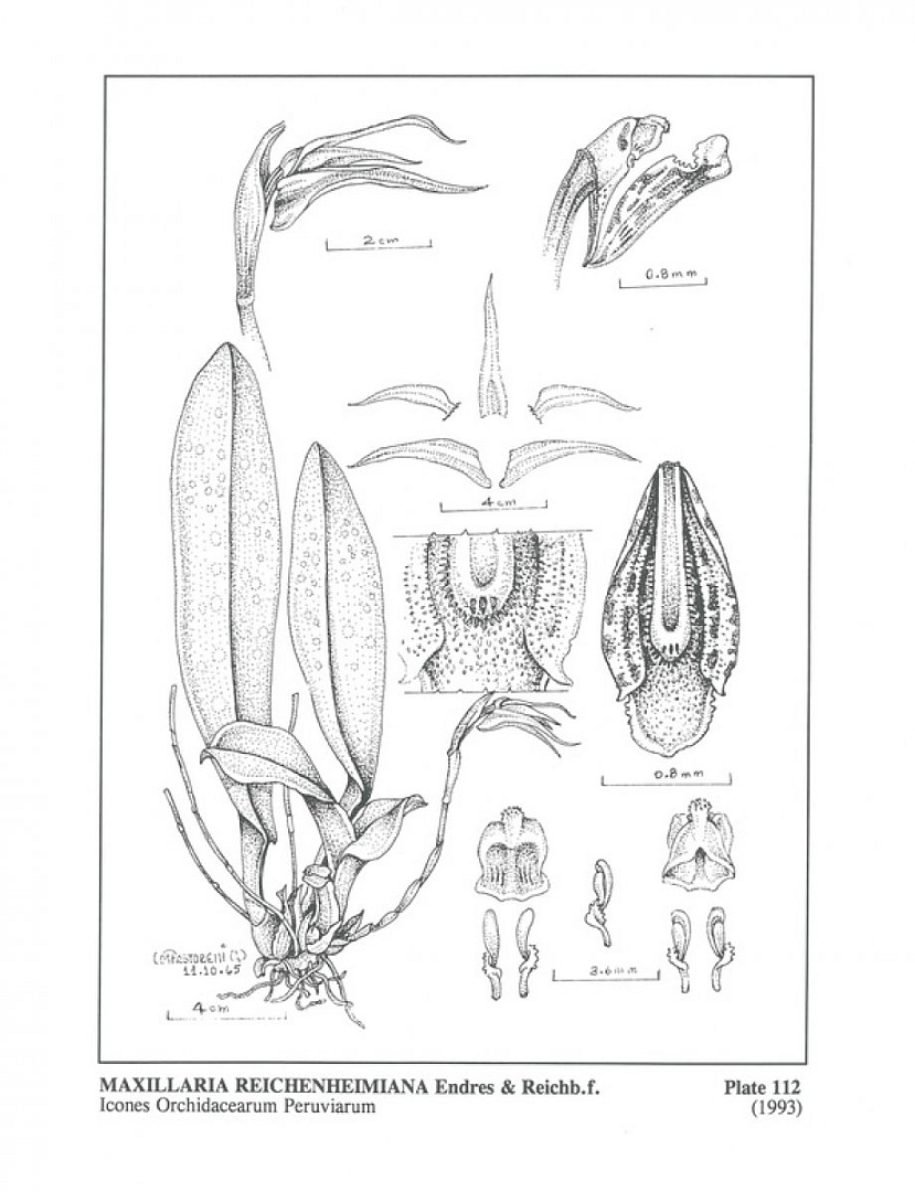 no HD illustration available (m3)