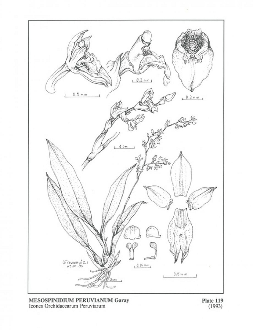 no HD illustration available (m3)