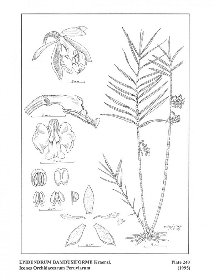 no HD illustration available (m3)