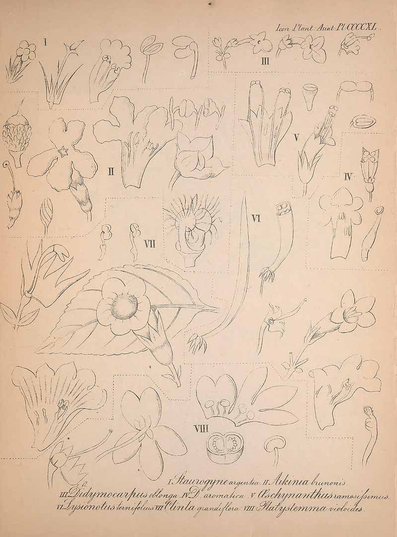 no HD illustration available (m1)