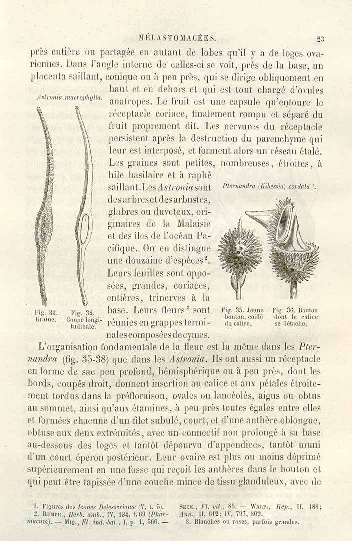 no HD illustration available (m3)
