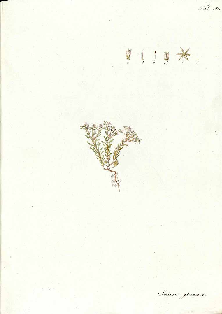 no HD illustration available (m1)
