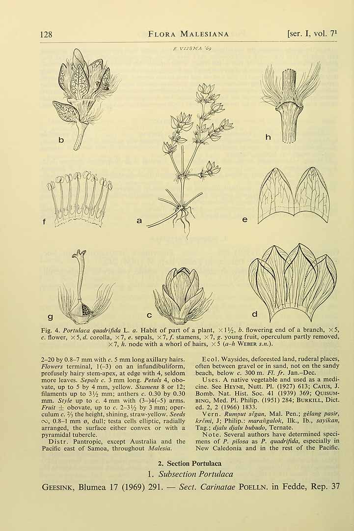 no HD illustration available (m1)