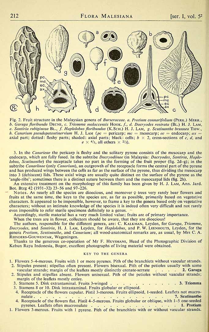 no HD illustration available (m1)