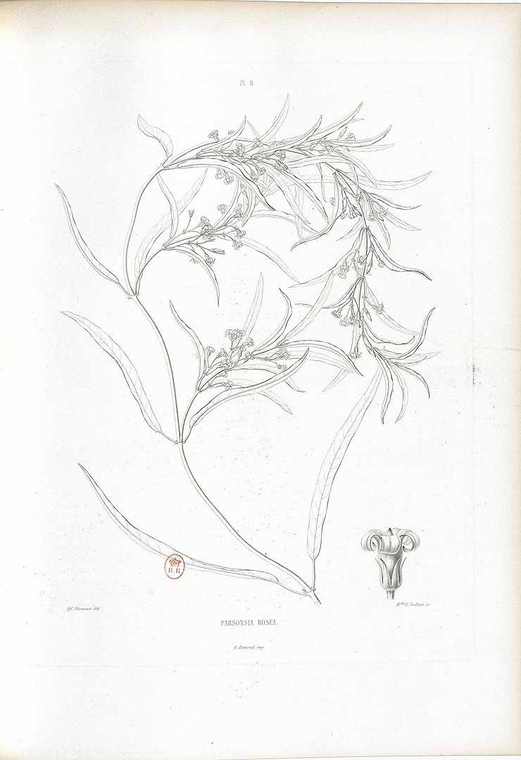 no HD illustration available (m1)