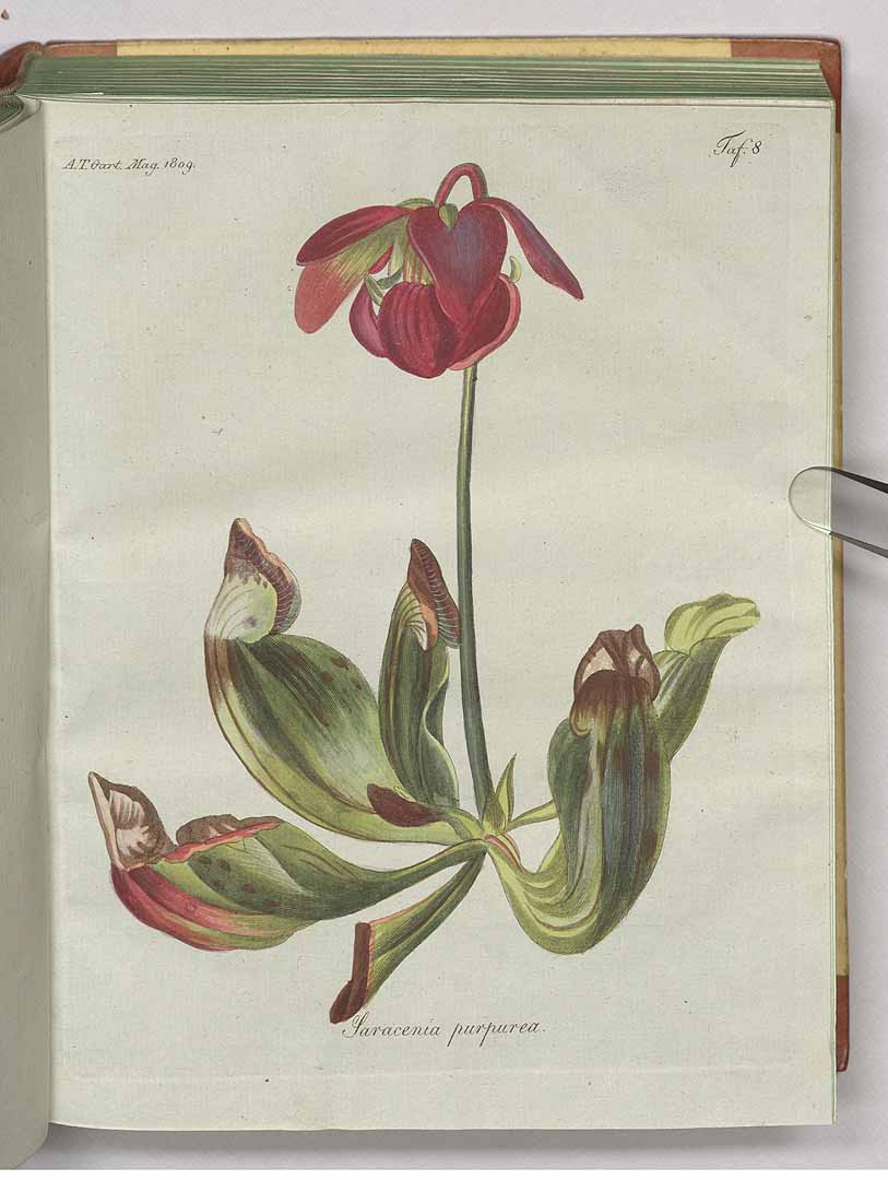 no HD illustration available (m1)