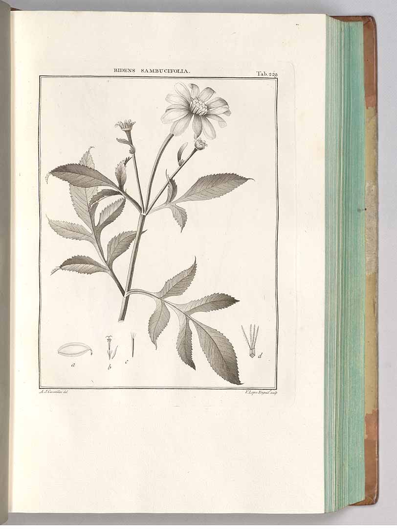no HD illustration available (m3)