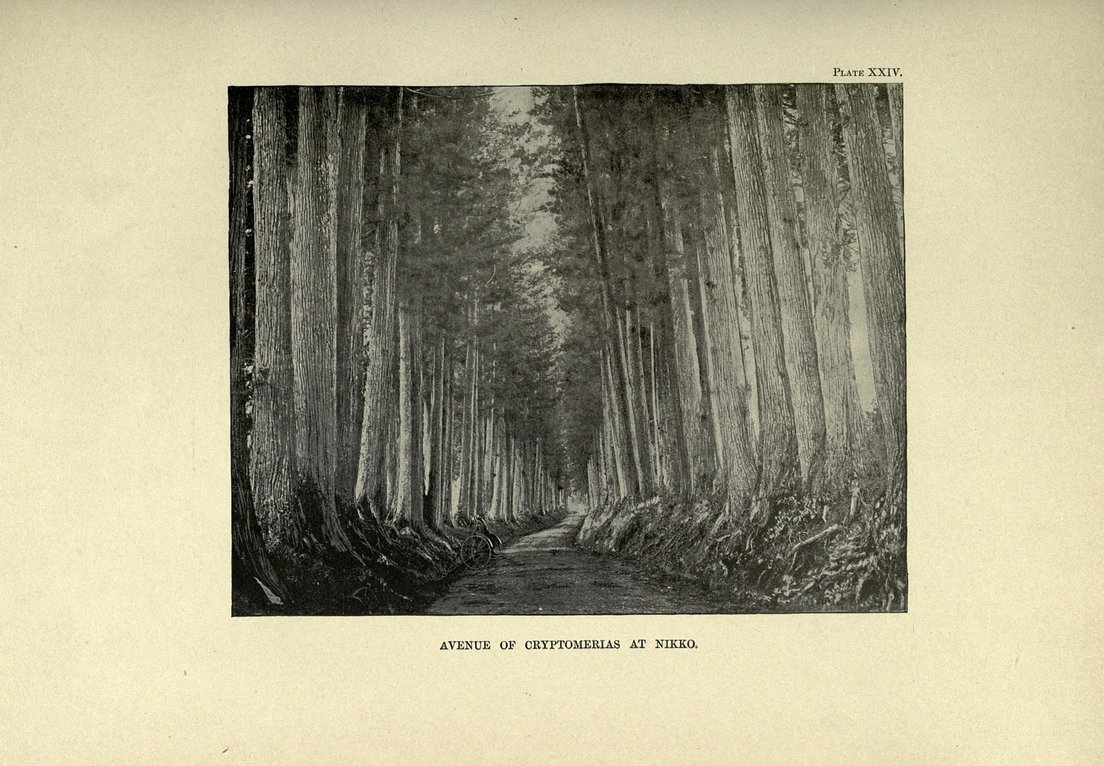 no HD illustration available (m5)