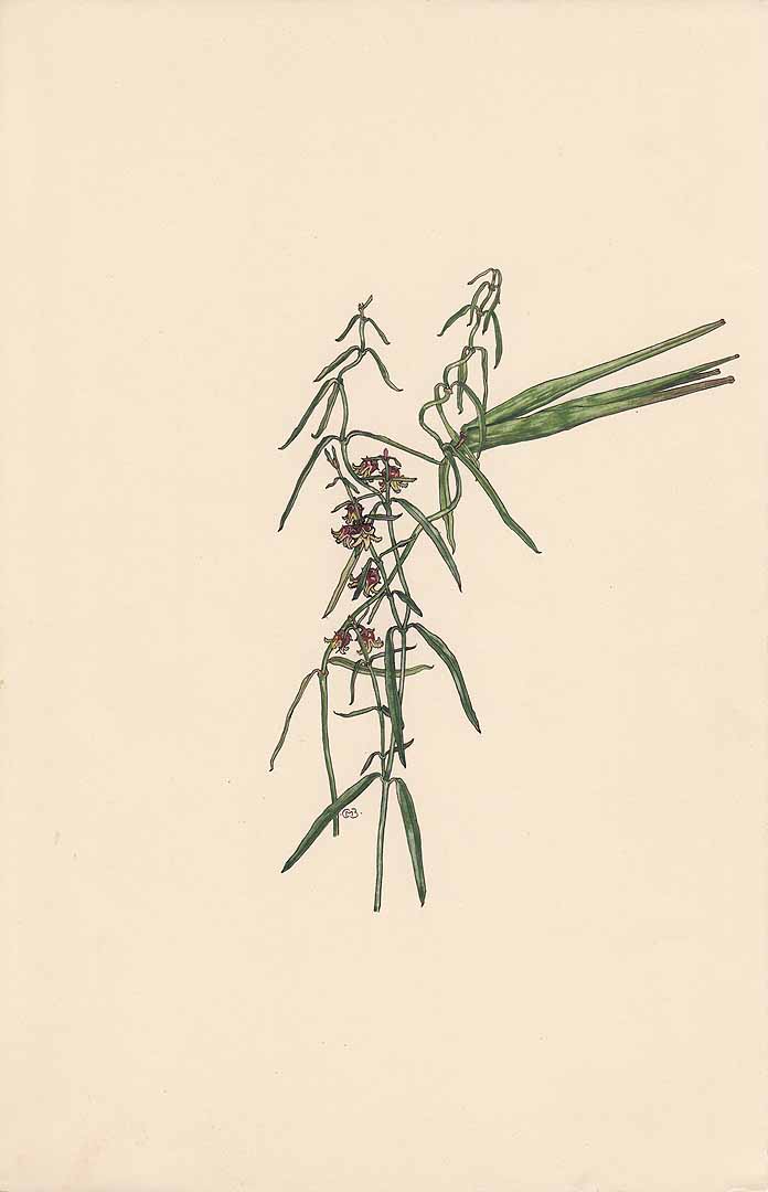 no HD illustration available (m3)