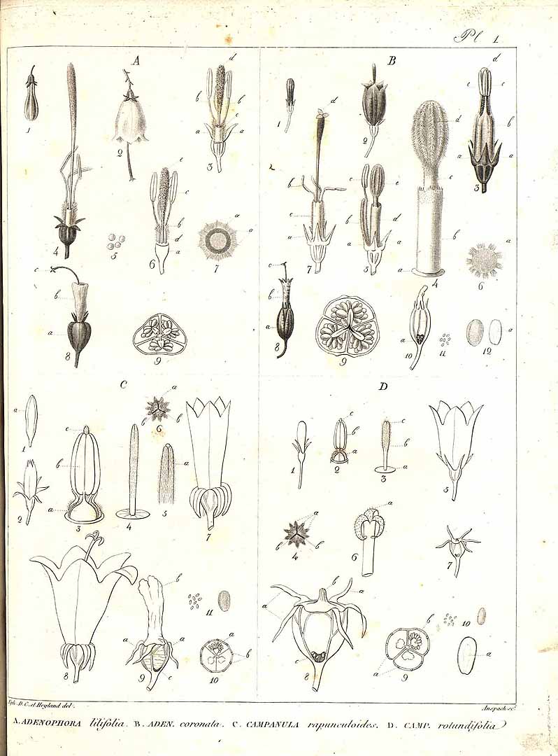no HD illustration available (m1)