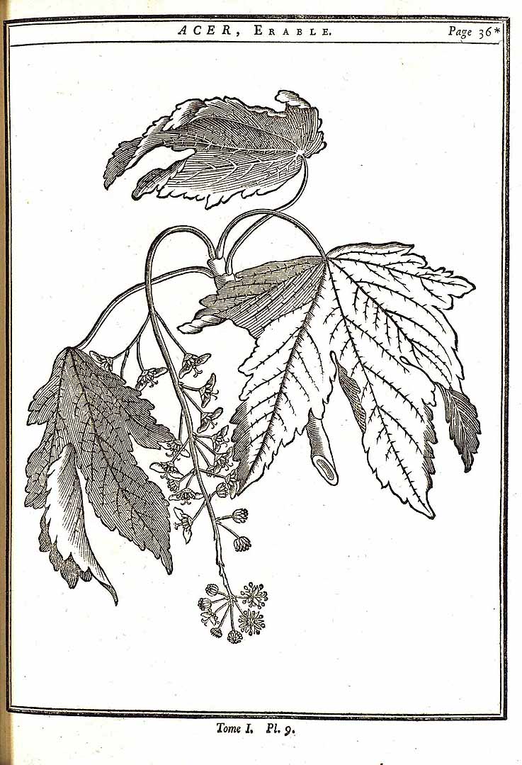 no HD illustration available (m3)
