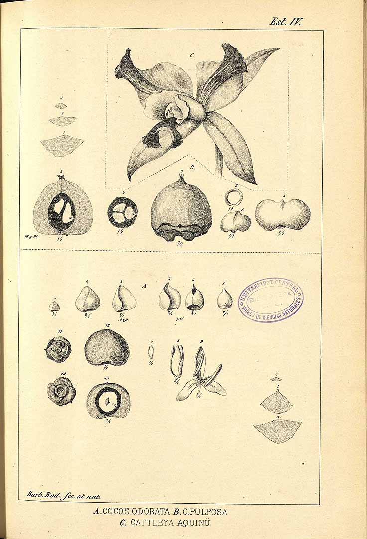 no HD illustration available (m5)