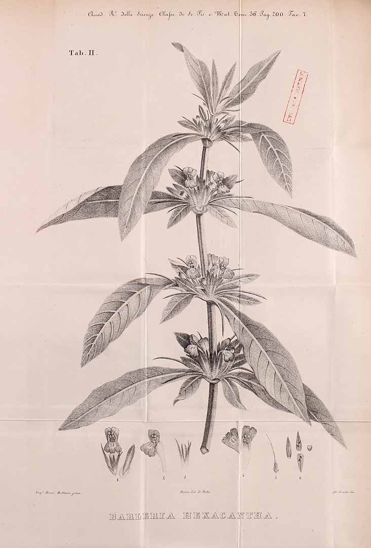 no HD illustration available (m3)