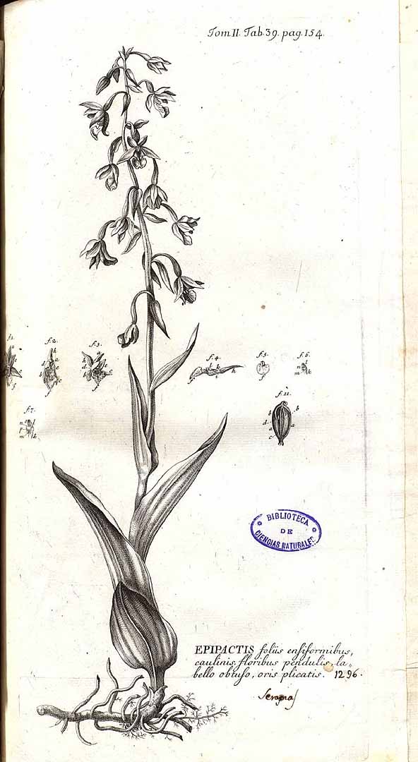 no HD illustration available (m1)