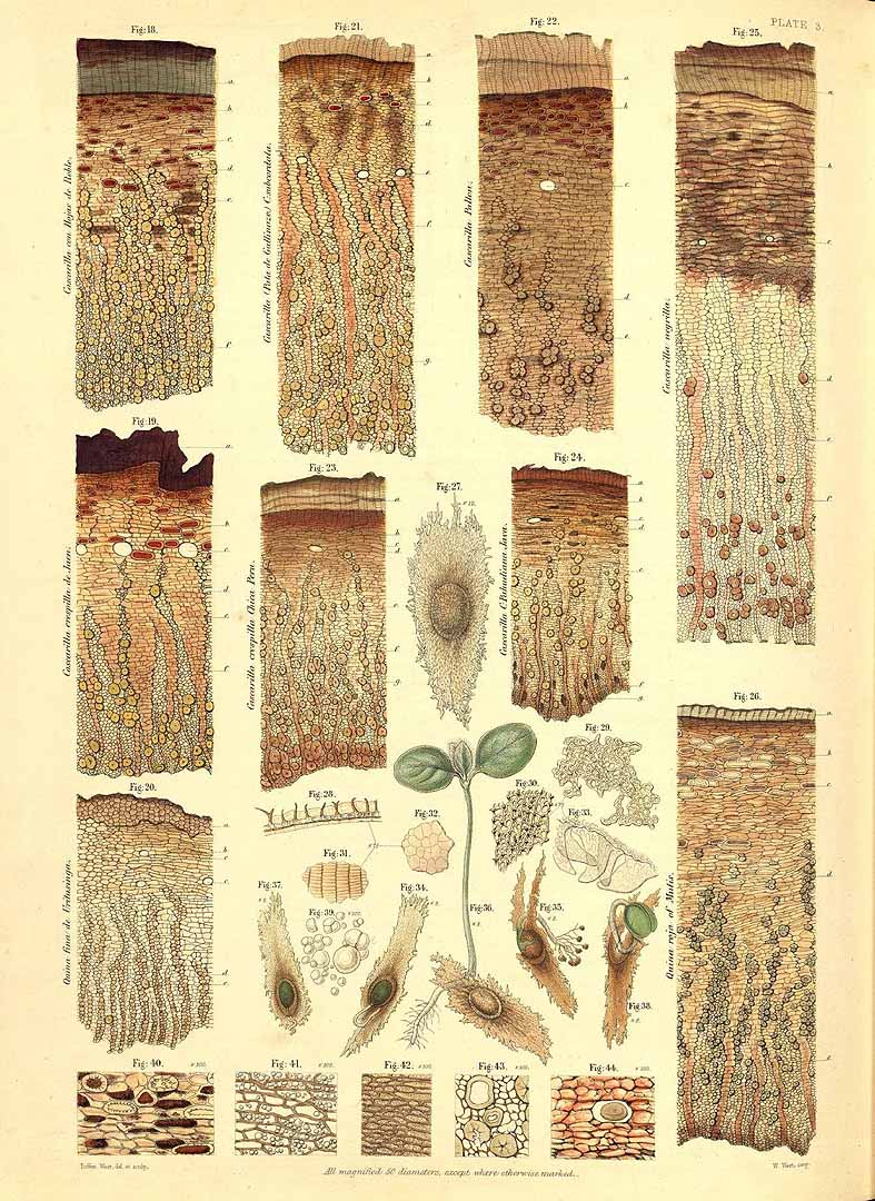 no HD illustration available (m1)