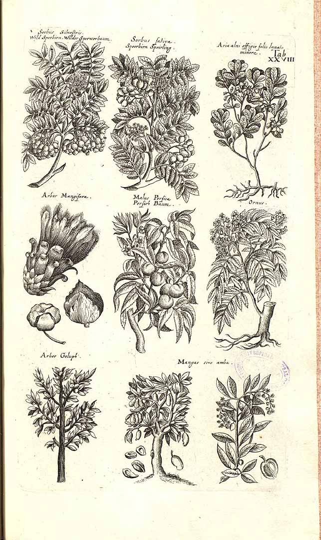 no HD illustration available (m3)