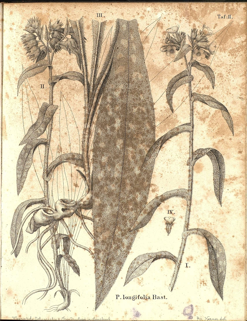 no HD illustration available (m3)