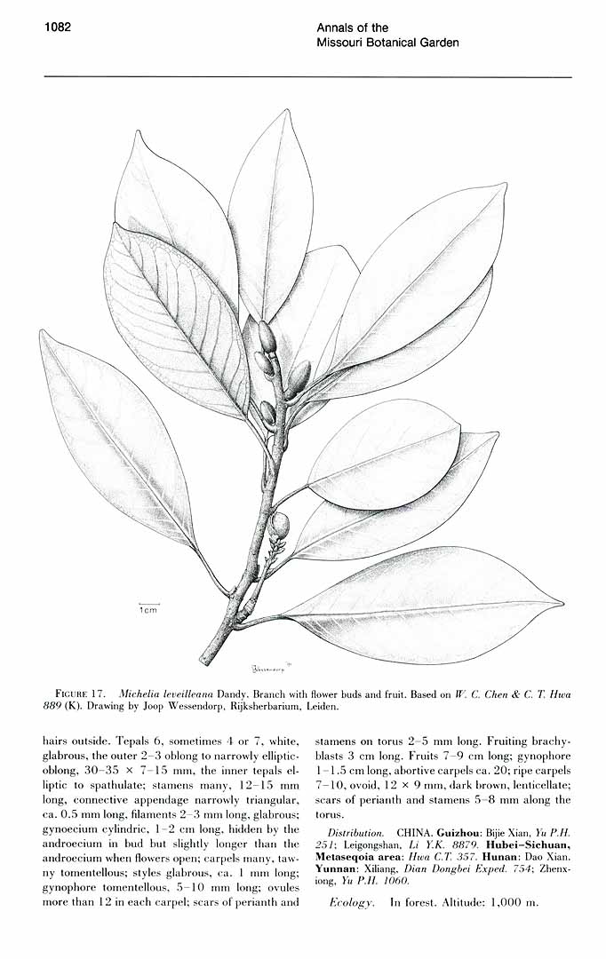 no HD illustration available (m3)