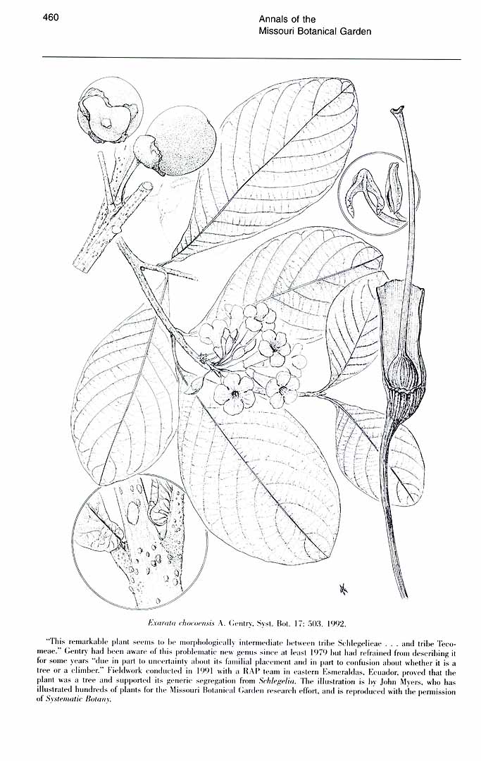 no HD illustration available (m3)
