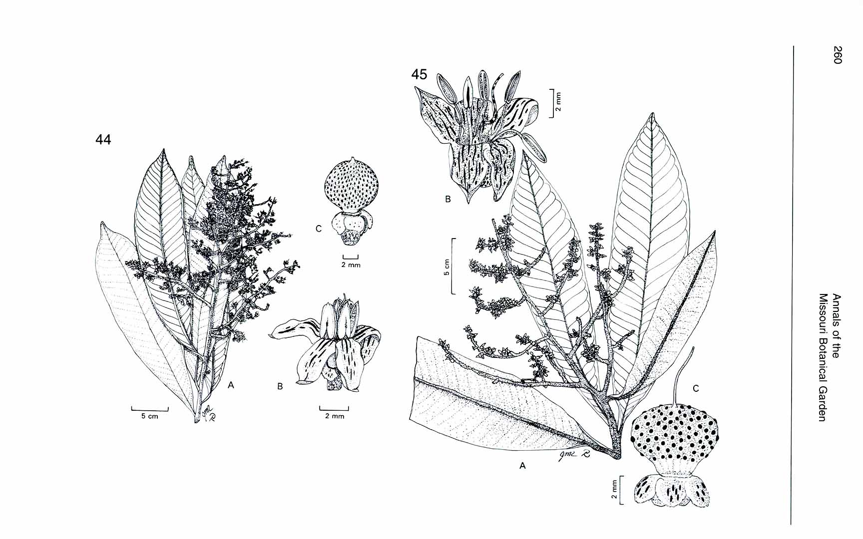 no HD illustration available (m5)
