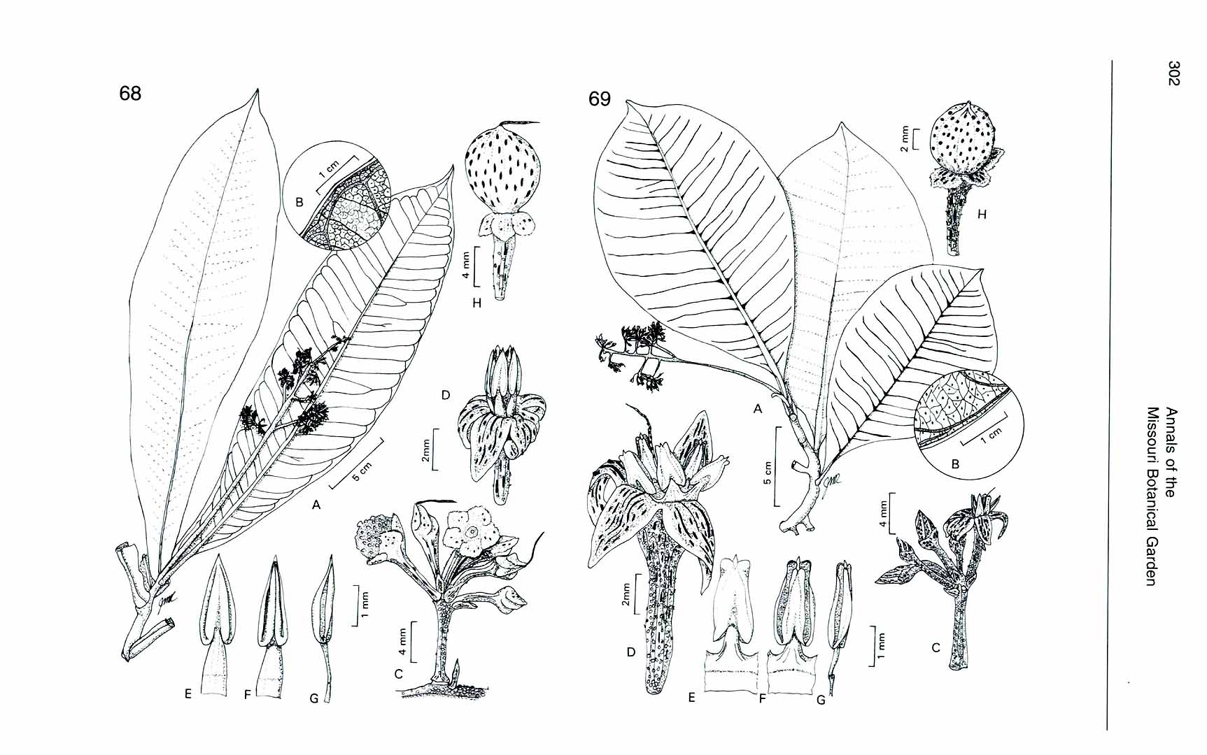 no HD illustration available (m5)
