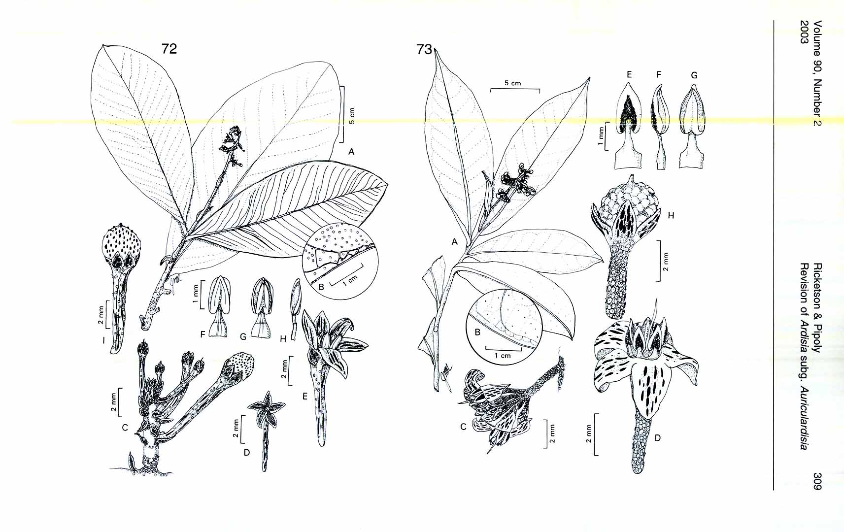 no HD illustration available (m5)