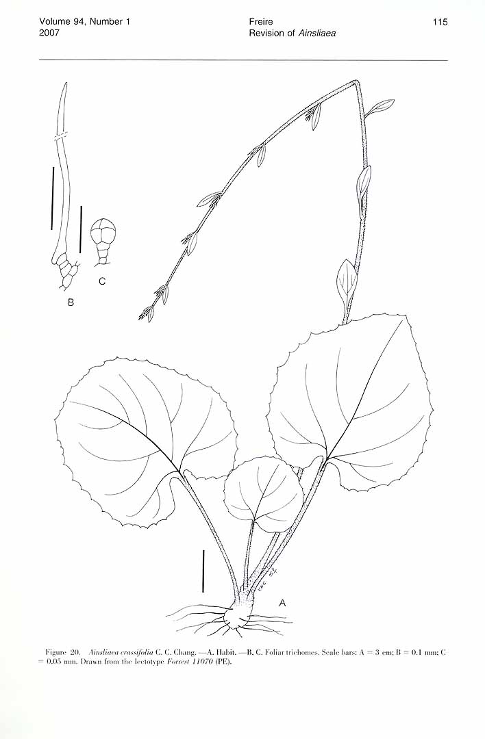 no HD illustration available (m3)
