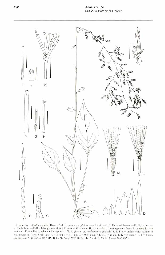 no HD illustration available (m3)