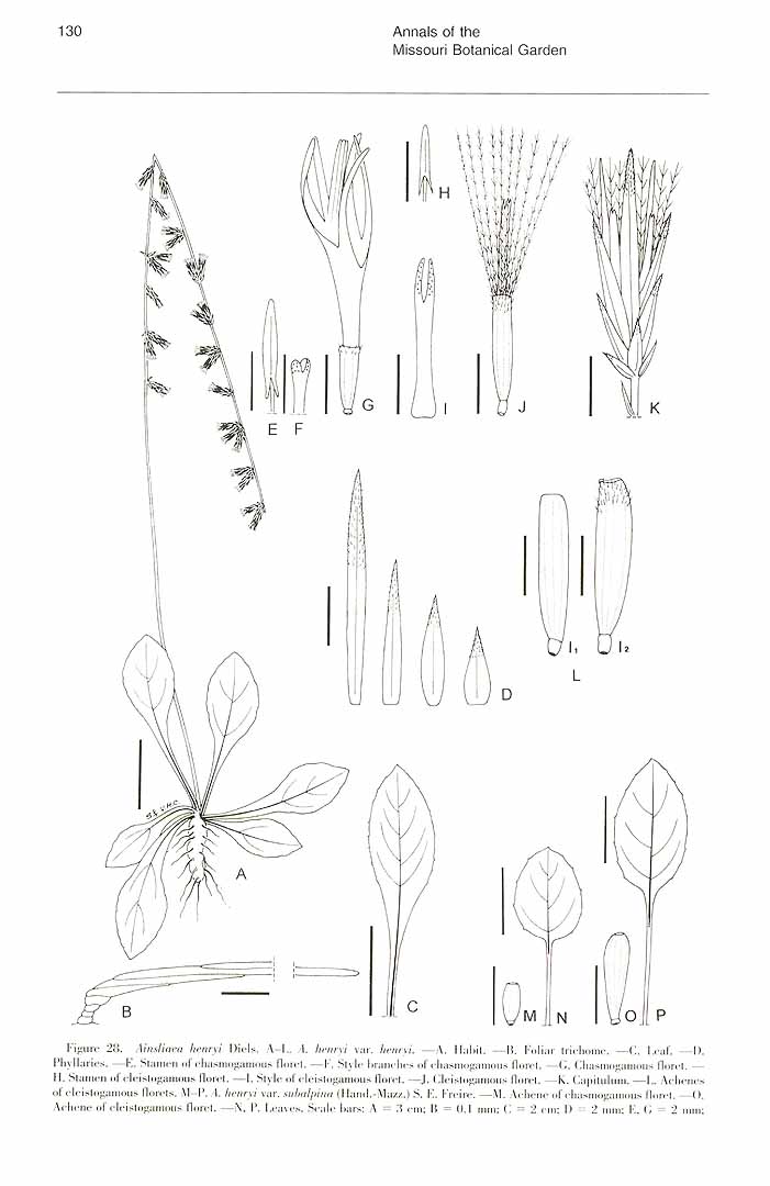 no HD illustration available (m3)