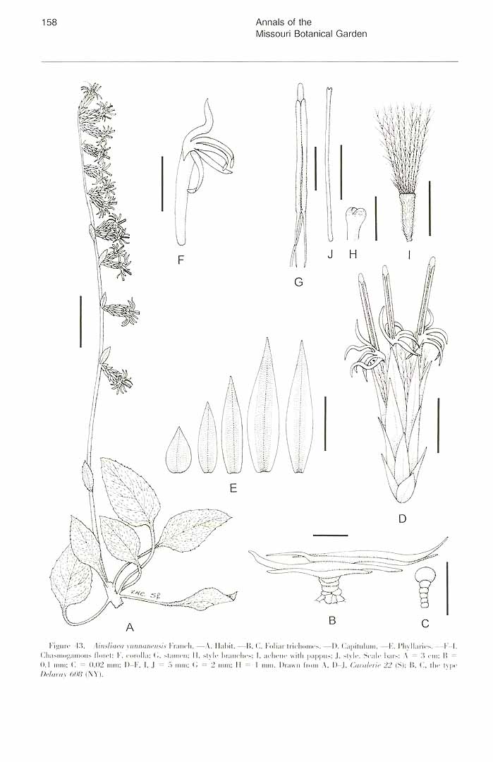 no HD illustration available (m3)