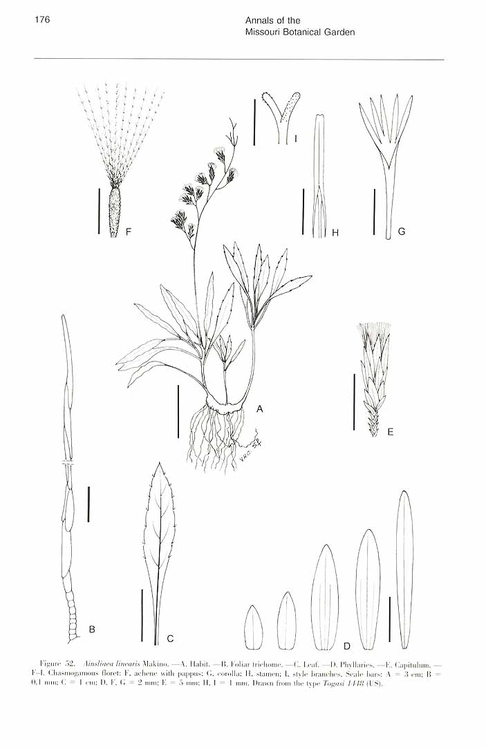 no HD illustration available (m3)