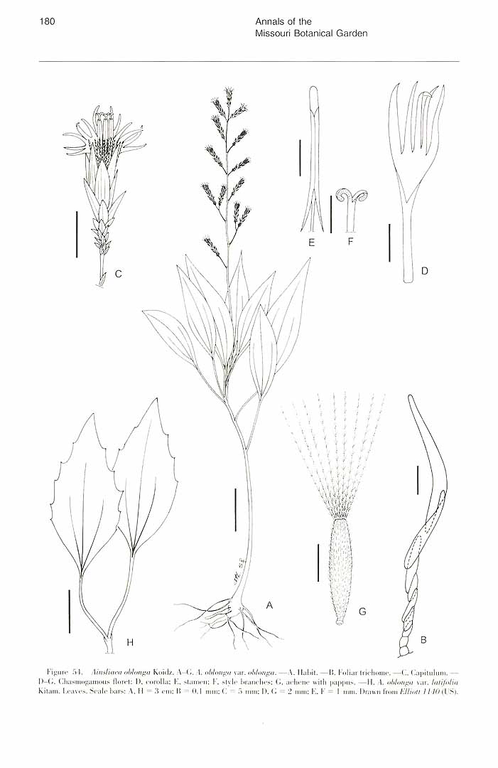 no HD illustration available (m3)