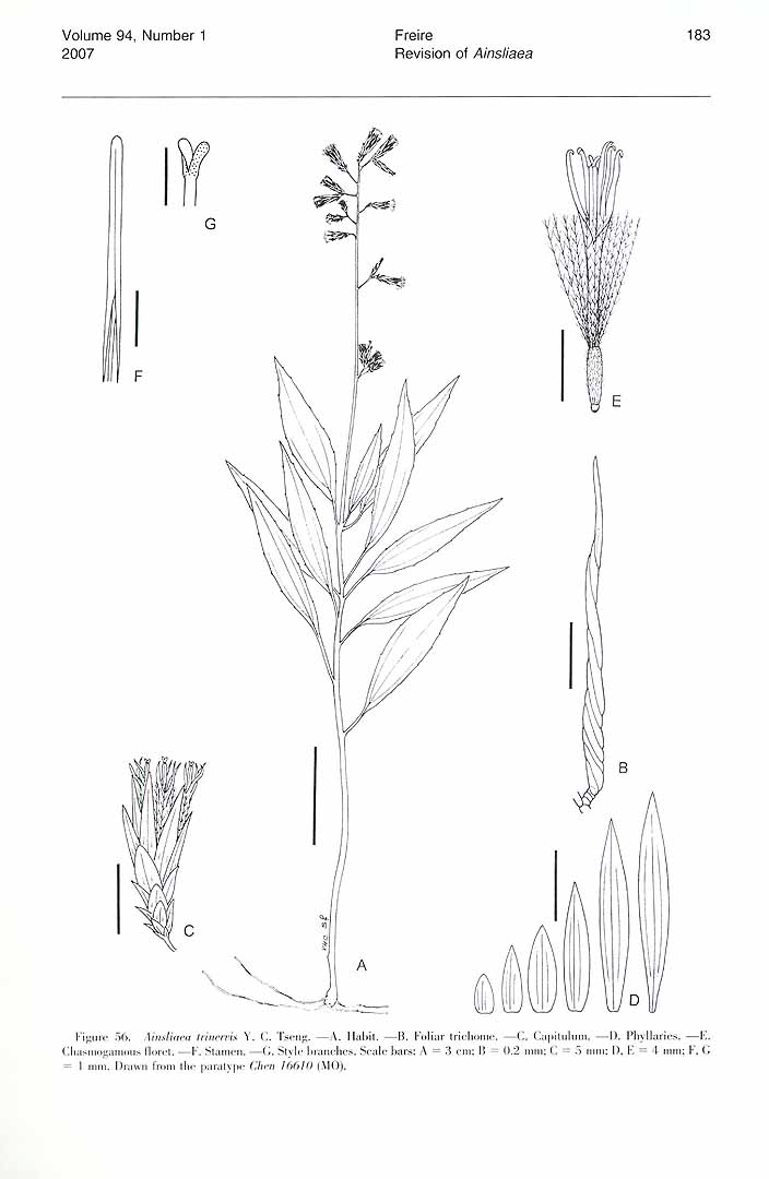 no HD illustration available (m3)